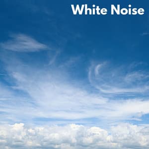 White Noise - Black Noise Loops