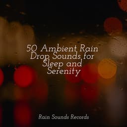 50 Ambient Rain Drop Sounds for Sleep and Serenity - Meeresrauschen