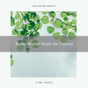 Ruido Marron Ruido De Colores - Ruido De Colores