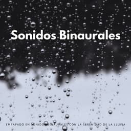Empapado En Sonidos Binaurales Con La Serenidad De La Lluvia - Frecuencias Binaurales