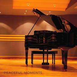 Peaceful Moments - Piano Bar