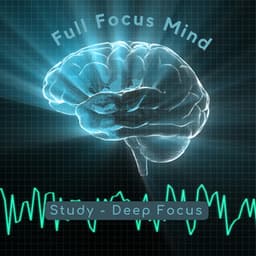 Full Focus Mind - Study – Deep Focus