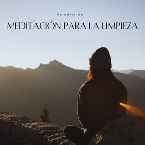Melodías De Meditación Para La Limpieza - Meditación Chakra