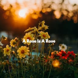 A Rose Is A Rose - Cozy Coffee Shop Jazz