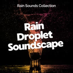 Rain Droplet Soundscape - Rain Sounds Collection