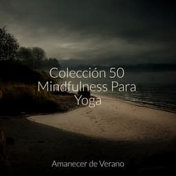 Colección 50 Mindfulness Para Yoga - kinderliedjes