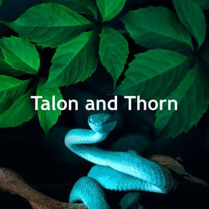 Talon and Thorn - Relaxing Rain Sounds