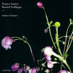 Indian Summer - Tomas Sauter
