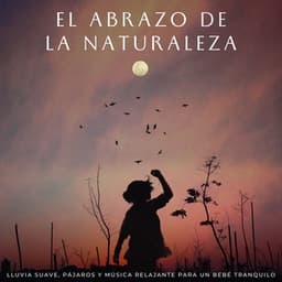 El Abrazo De La Naturaleza: Lluvia Suave, Pájaros Y Música Relajante Para Un Bebé Tranquilo - Deja que llueva