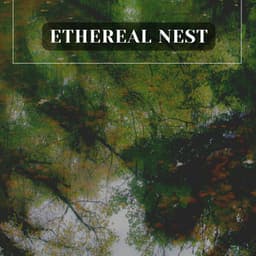 Ethereal Nest - Meditation Guru