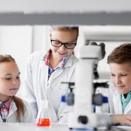 Wisdom's Lofi Embrace: Study Melodies of Discovery - Lofi Playlist