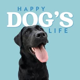 Happy Dog’s Life: Calming Melodies to Help Dogs Relax and Sleep Quickly - Pet Care Club