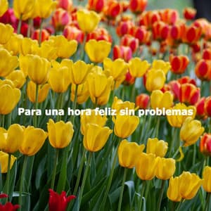 Para una hora feliz sin problemas - Acoustic Study Music Beats