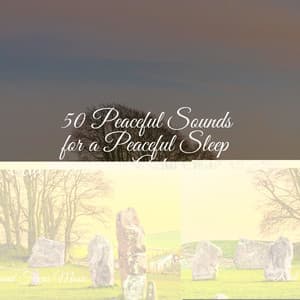 50 Peaceful Sounds for a Peaceful Sleep Aid - Deep Focus