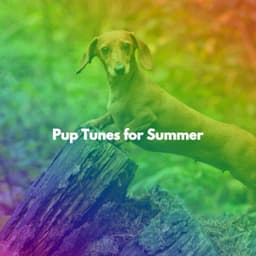 Pup Tunes for Summer - Relaxing Chillout Lounge