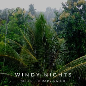 Windy Nights - Sleep Therapy Radio