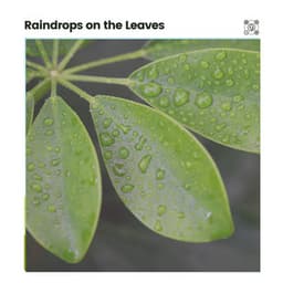 Raindrops on the Leaves - Natural Rain Sounds for Sleeping