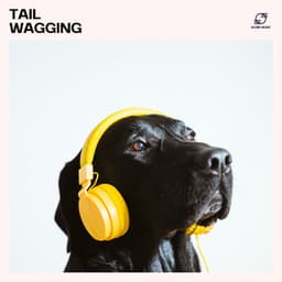 Tail Wagging - Pet Care Music Therapy