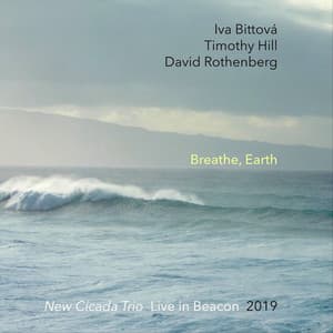 Breathe, Earth: New Cicada Trio Live in Beacon 2019 - Iva Bittová