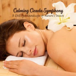 Calming Cicada Symphony: A Chill Spa Soundscape of Nature's Insects - Mother Nature