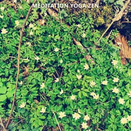 #1 Meditation Yoga Zen Inner Peace No. 2 - Meditation Music