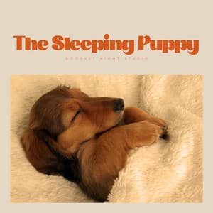 The Sleeping Puppy - Doggy Music