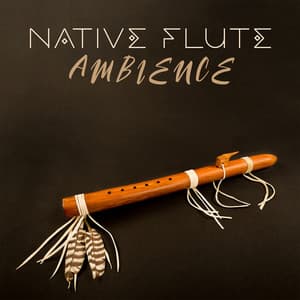Native Flute Ambience: Find Your Peace in Music - Native Flute American Music Consort