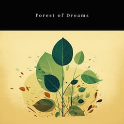 Forest of Dreams - The Nature Soundscapes