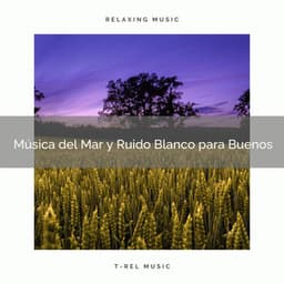 Música del Mar y Ruido Blanco para Buenos - Ruido Blanco