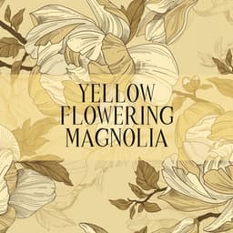 Yellow Flowering Magnolia - Soundscapes!