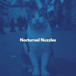 Nocturnal Nuzzles - Cat Music