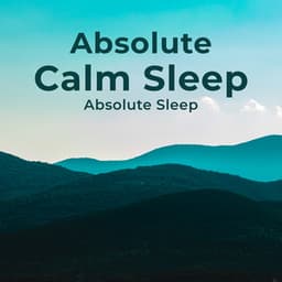 Absolute Calm Sleep - Absolute Sleep