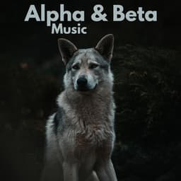 Alpha & Beta Music - Relax α Wave