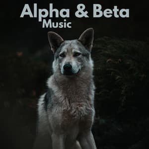 Alpha & Beta Music - Relax α Wave