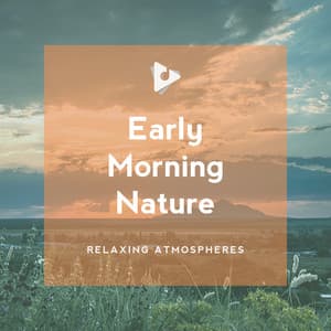 Early Morning Nature - Relaxing ASMR