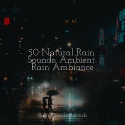 50 Natural Rain Sounds: Ambient Rain Ambiance - Study Music & Sounds
