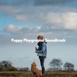 Puppy Playground Soundtrack - Instrumental Study Music