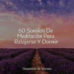 50 Sonidos De Meditación Para Relajarse Y Dormir - Mantra para Dormir