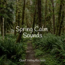 Spring Calm Sounds - Fabricantes De Lluvia