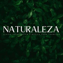 Naturaleza: Lluvia Terapéutica Y Música Para Trabajar - Estado de ánimo de lluvia