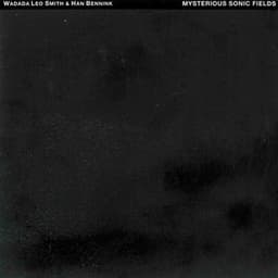 Mysterious Sonic Fields - Wadada Leo Smith