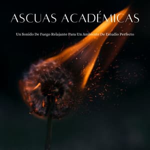Ascuas Académicas: Un Sonido De Fuego Relajante Para Un Ambiente De Estudio Perfecto - Fuego Ambiental