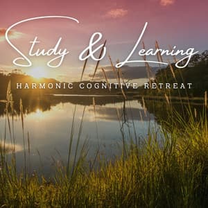 MindfulAcuity: Meditative Soundscapes for Study & Learning - Meditation Architect