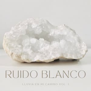 Ruido Blanco: Lluvia En Mi Camino Vol. 1 - Ruido de Meditación