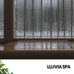 Lluvia Spa: Serenity in Every Drop - Cat Music Therapy