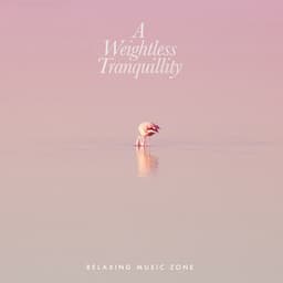 A Weightless Tranquillity - Relaxing Music Zone
