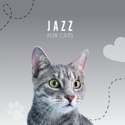 Jazz For Cats - Pet Music Therapy