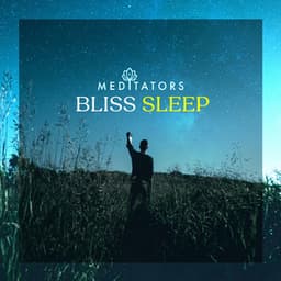 Bliss Sleep - Meditators