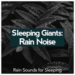 Sleeping Giants: Rain Noise - Rain Sounds for Sleeping