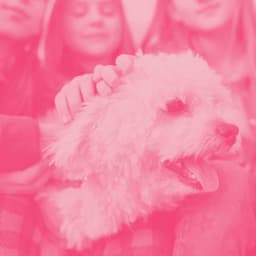 Music for Doggy Vibes - Calming for Dogs